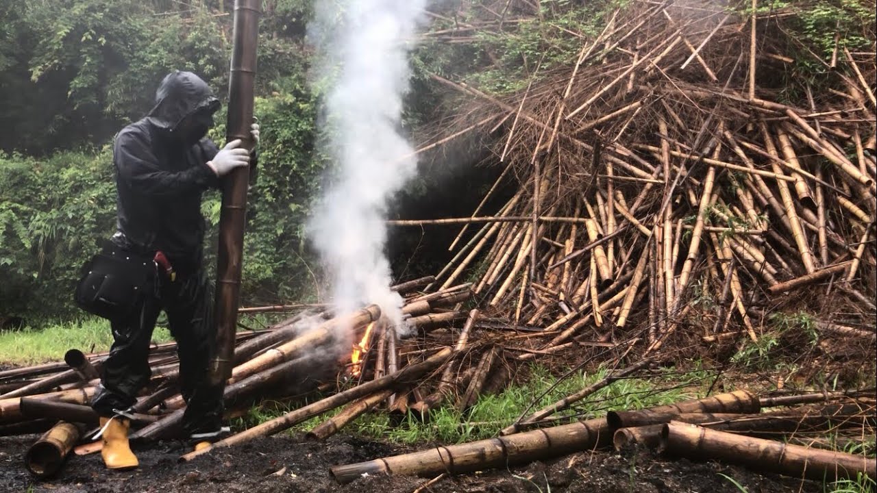 荒廃した孟宗竹林の整備2年目の野焼き～チェンソーで下から切り崩す2023/06/05-01