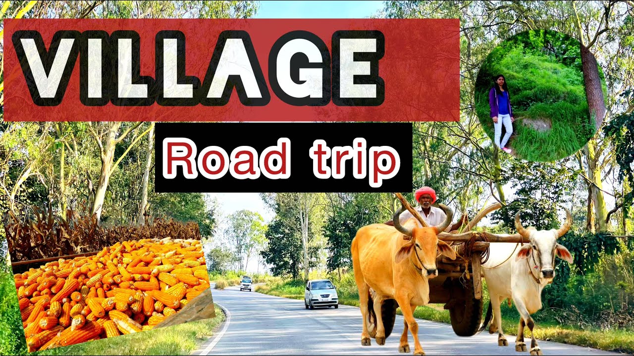 Driving Along Corn fields of Beautiful Village in Hassan Karnataka | Church in Water | Village view
