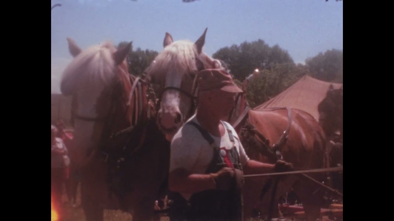 Steam thresher show est. 1975 Holcomb-Davis Jct, IL area