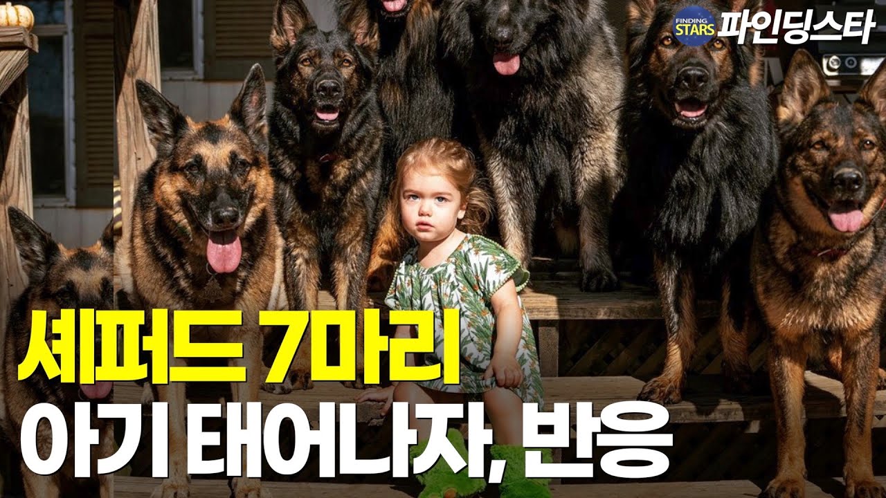 딸 태어나자, 7마리 쉐퍼드 키우던 엄마 힘든 결정 내렸더니..