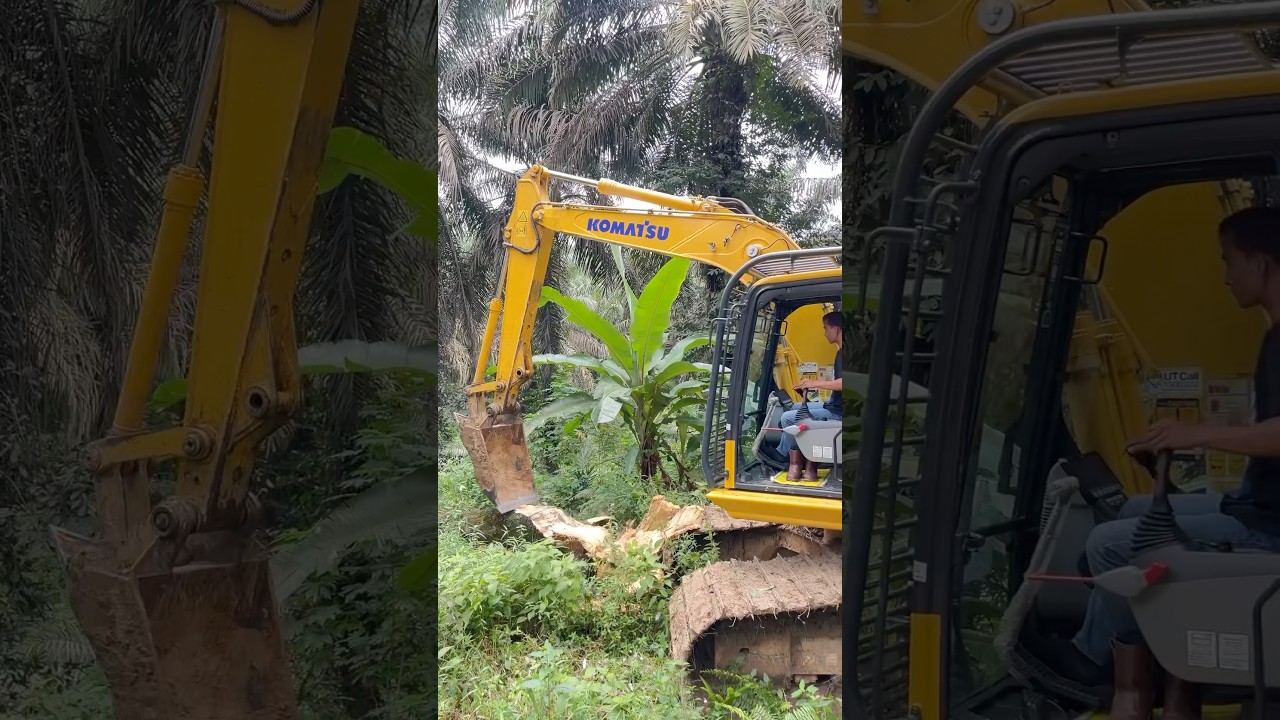 Tumbang pohon sawit #excavator