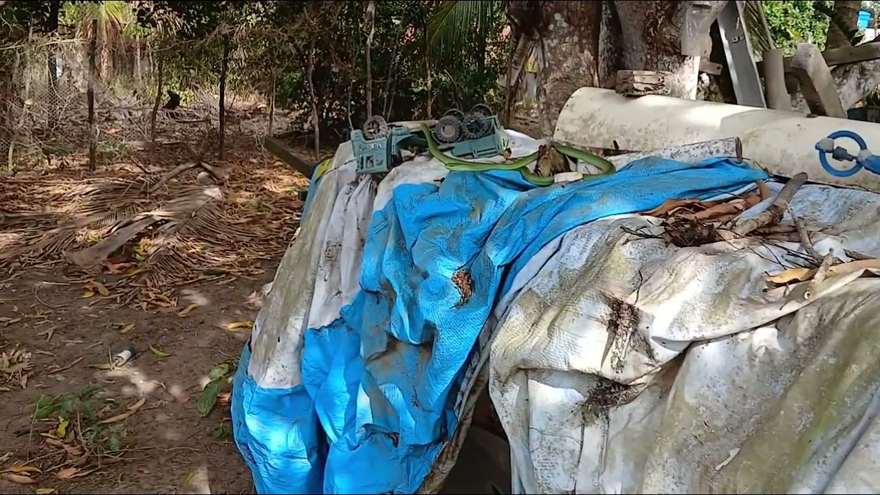 AQUI TEM QUE TOMAR CUIDADO SEMPRE COM AS COBRAS  🐍 