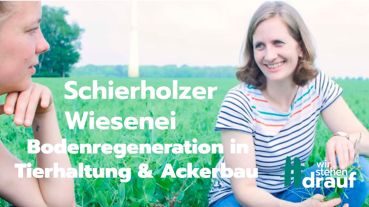 wir stehen drauf - Schierholzer Wiesenei - Bodenregeneration in Tierhaltung & Ackerbau