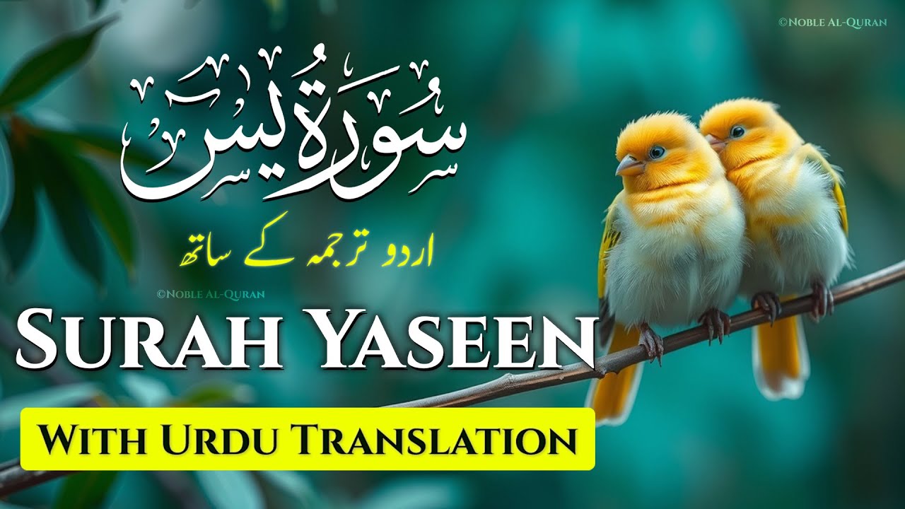 Surah Yasin | Surat Yaseen with Urdu Translation | Quran Tilawat Beautiful Voice | Urdu Tarjuma