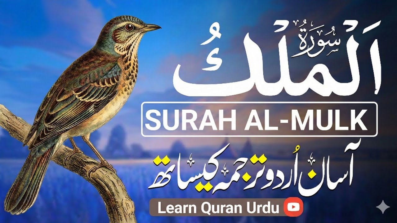 Surah Al Mulk with Urdu & Hindi Translation | Beautiful Quranic Recitation | سورة الملك منصورغزنوی