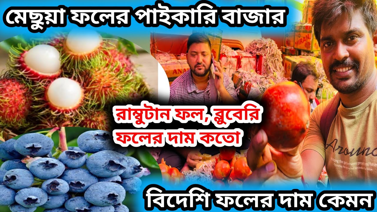 mechua fruit market in kolkata || মেছুয়া ফলের পাইকারি বাজার #mechua #fruitmarket 