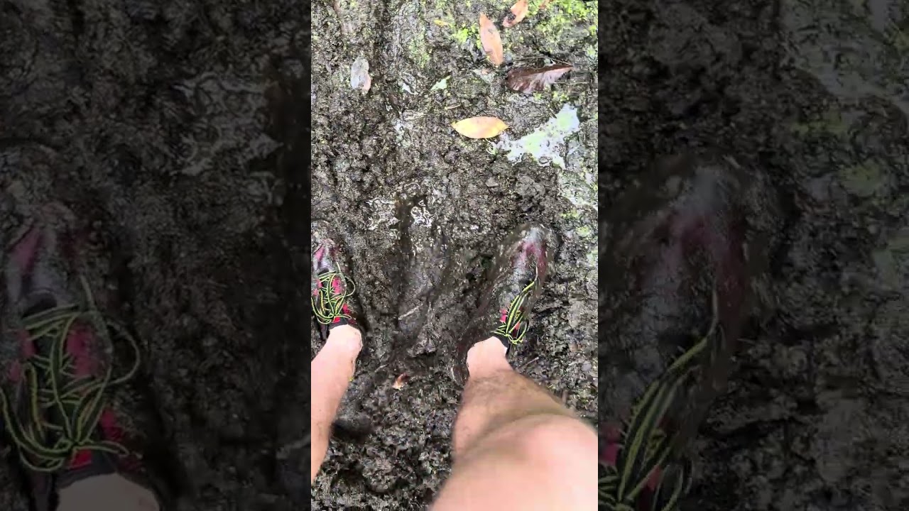 minimus trail shoes in muddy swamp