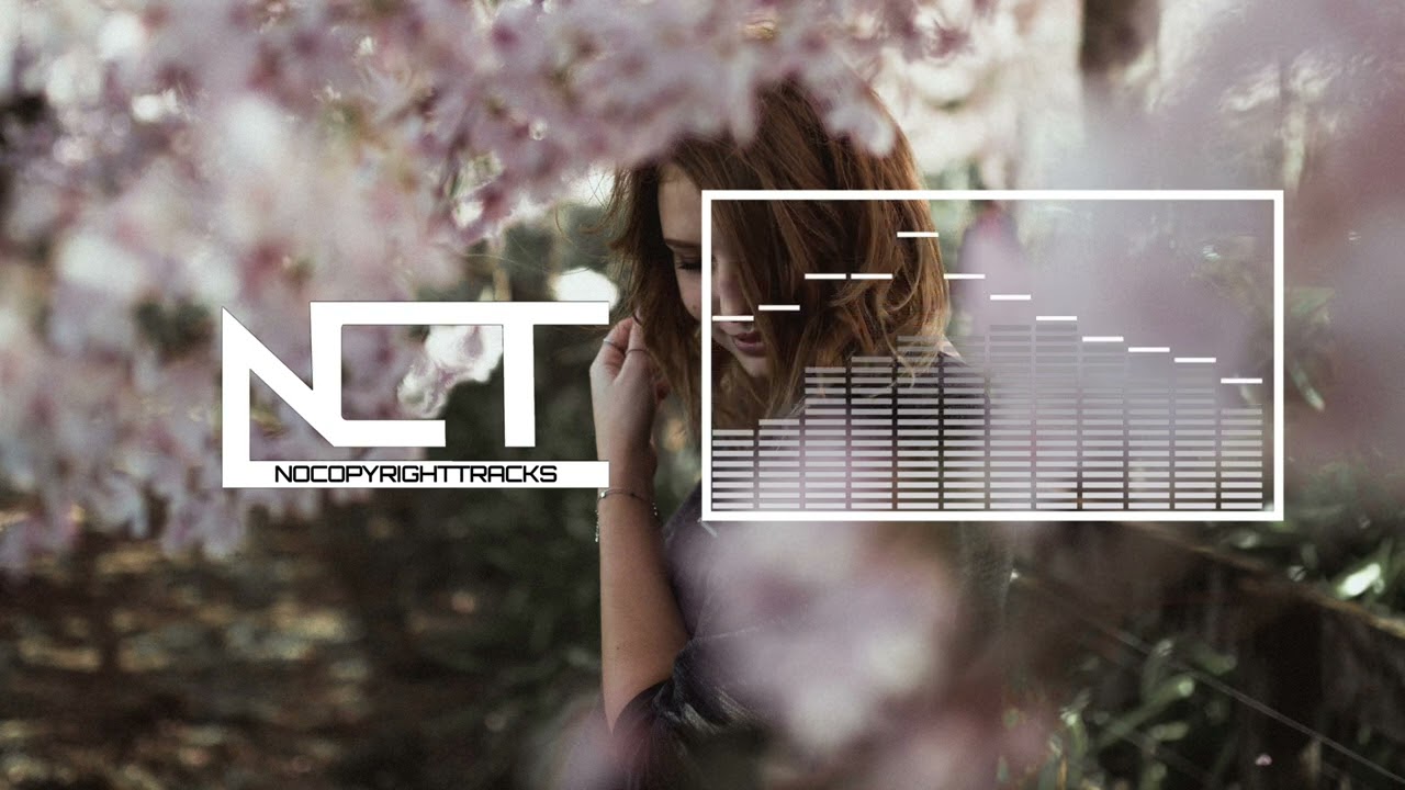 SLANDER, Nikademis & Poo Bear - If Tomorrow Never Happens (Lyrics)