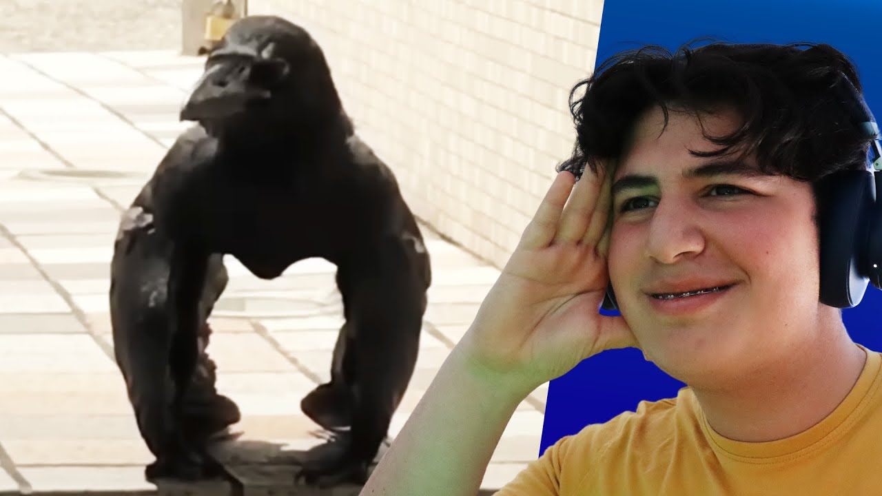 These are the BEST VIDEOS of 2024