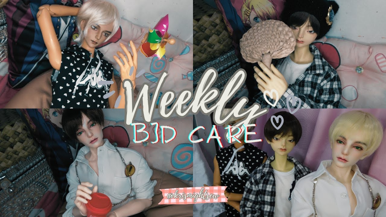 ⋅˚₊‧ BJD Weekly care log ‧₊˚ ⋅