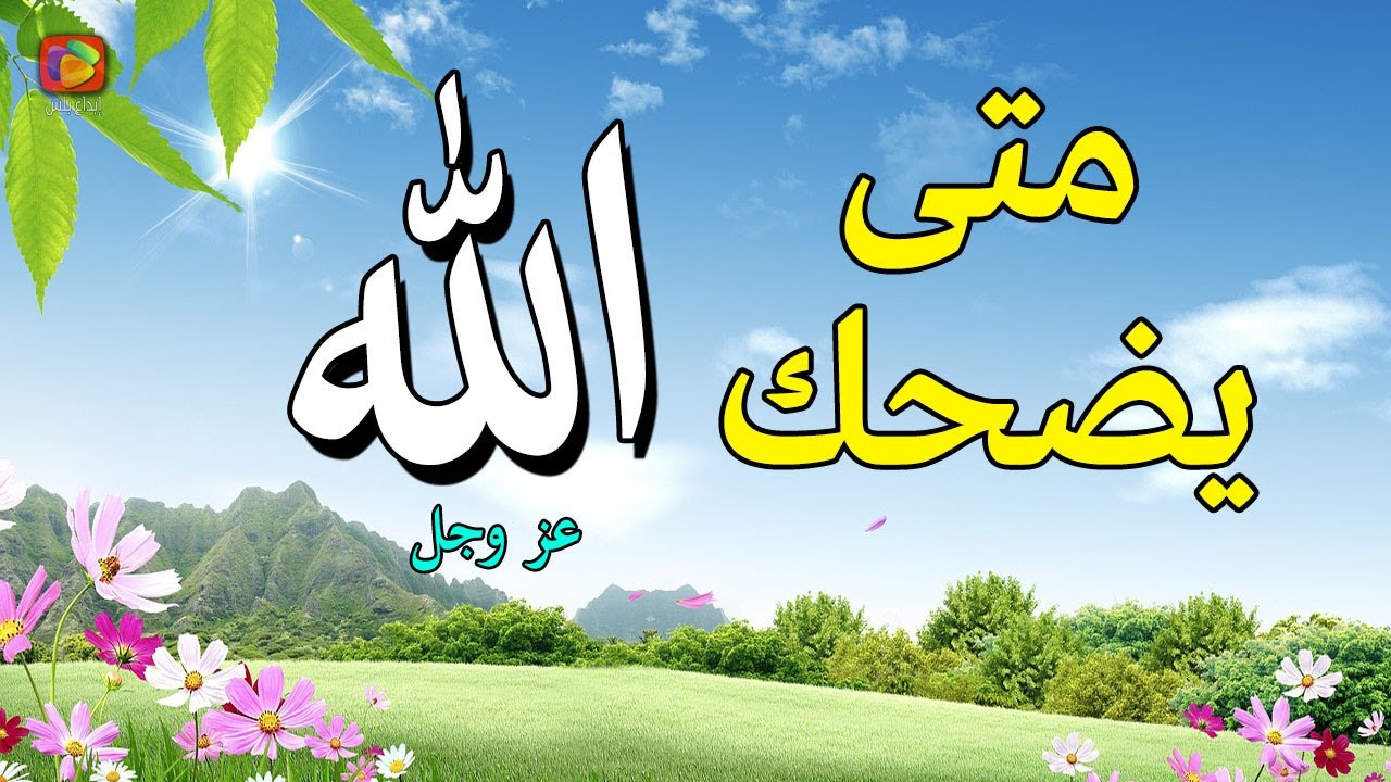 5 مواقف ضحك الله 