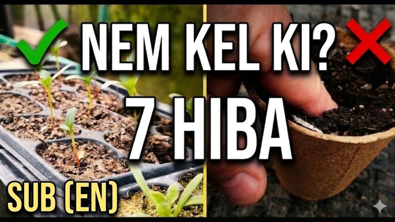 Nem kel ki a mag? 7 hiba vetésnél | Why seeds don’t germinate?