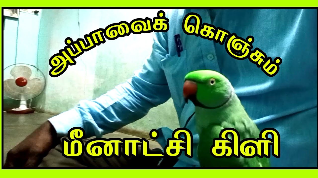 ஊரிலிருந்து வீட்டிற்கு வரும்போது, மீனாட்சி (கிளி) ஆவலோடு வந்து அப்பாவைக் கொஞ்சி மகிழும் காட்சி