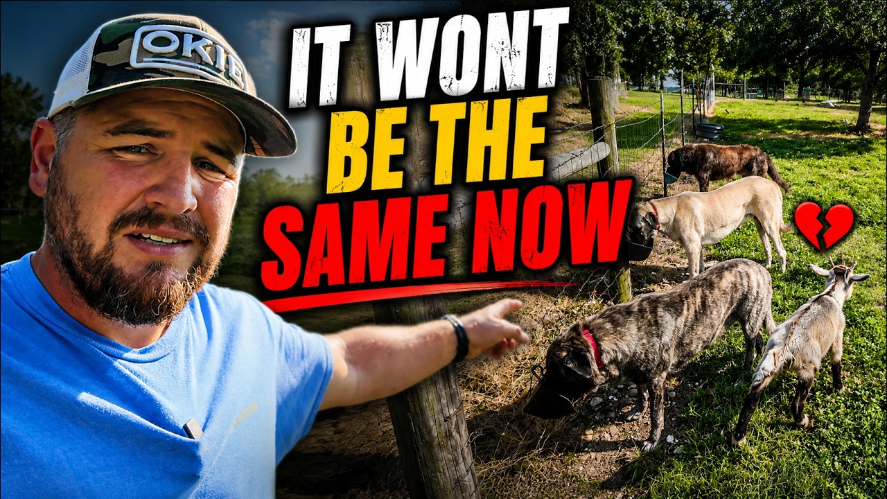 Sad Day On The Farm - We Knew Better