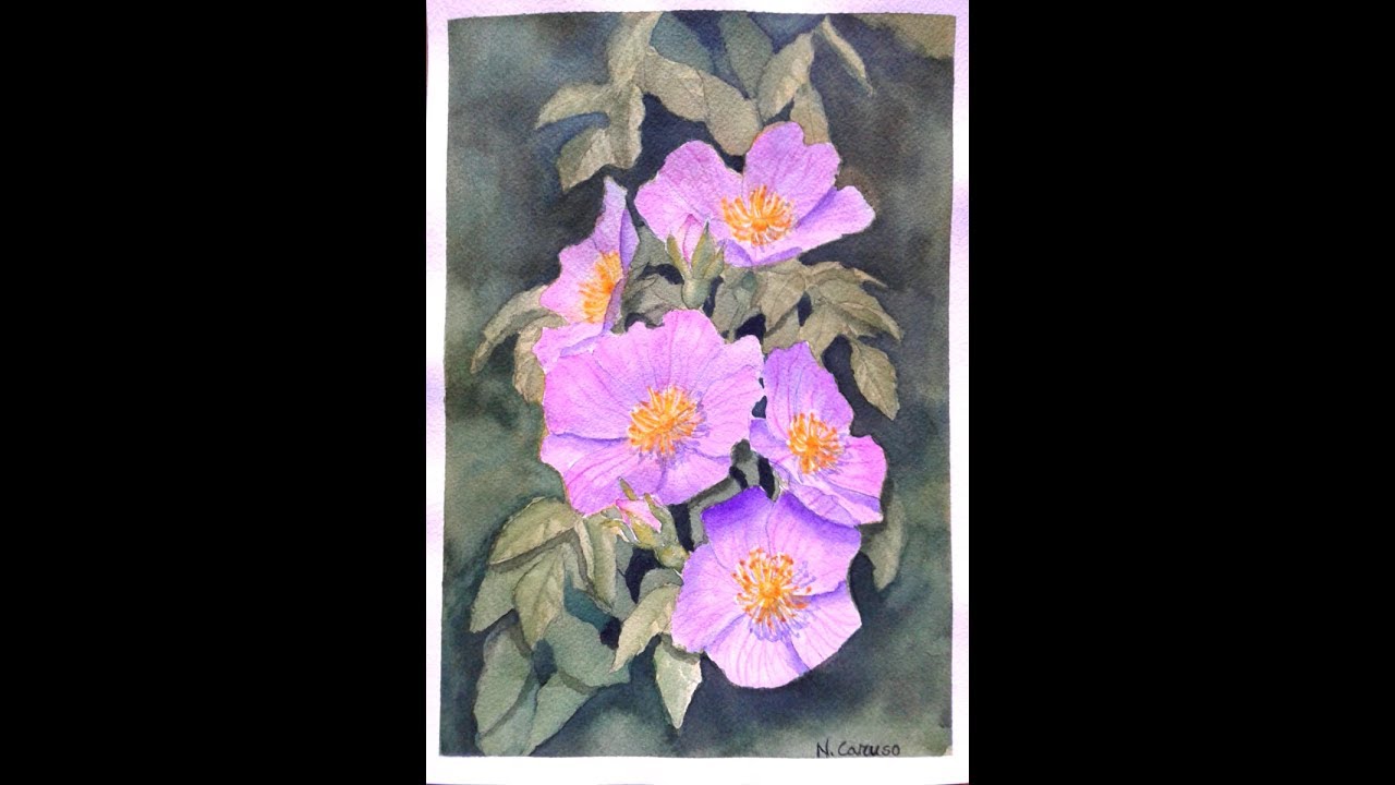 Come dipingere le ROSE CANINE di Ann Mortimer