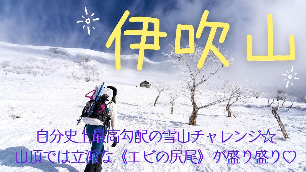 【厳冬期の伊吹山】世界一の積雪の記録を持つ雪山☆　広大な銀世界や霧氷の林を越えて、山頂直前には並外れた直登が待ち構える百名山♡　山頂では霧氷のオバケ［海老のしっぽ］が至るところに！！！