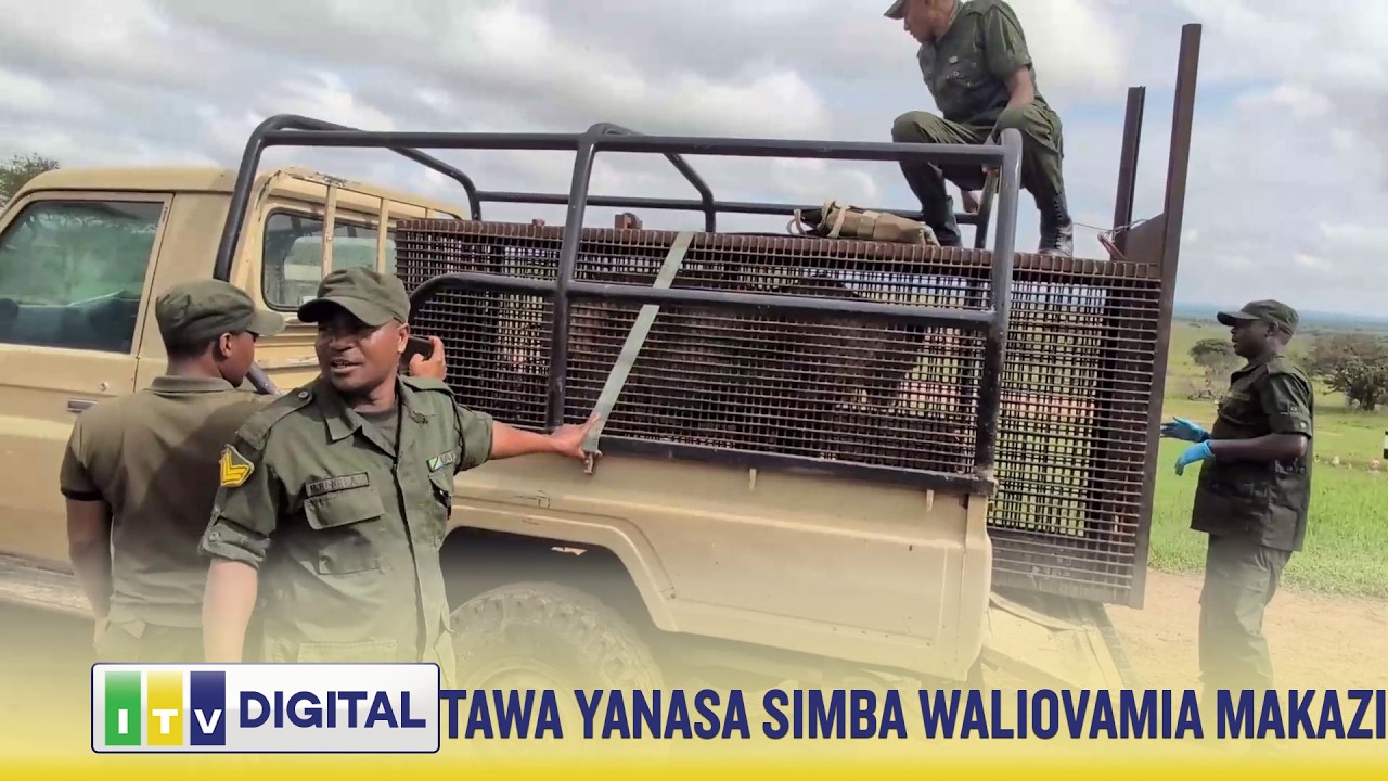 TAWA YANASA SIMBA WATANO WALIOVAMIA MAKAZI