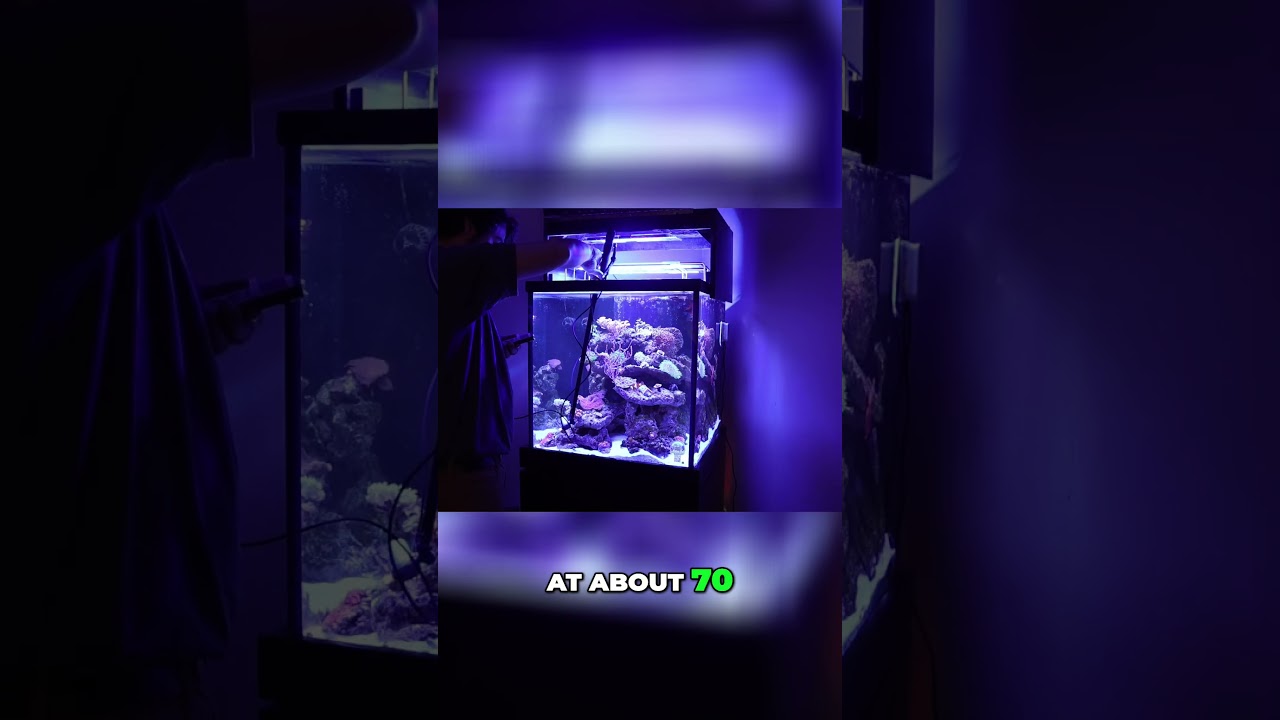 Using The Apogee MQ-510 Par Meter to Measure Ideal Light Intensity For Coral! #aqualabcreations