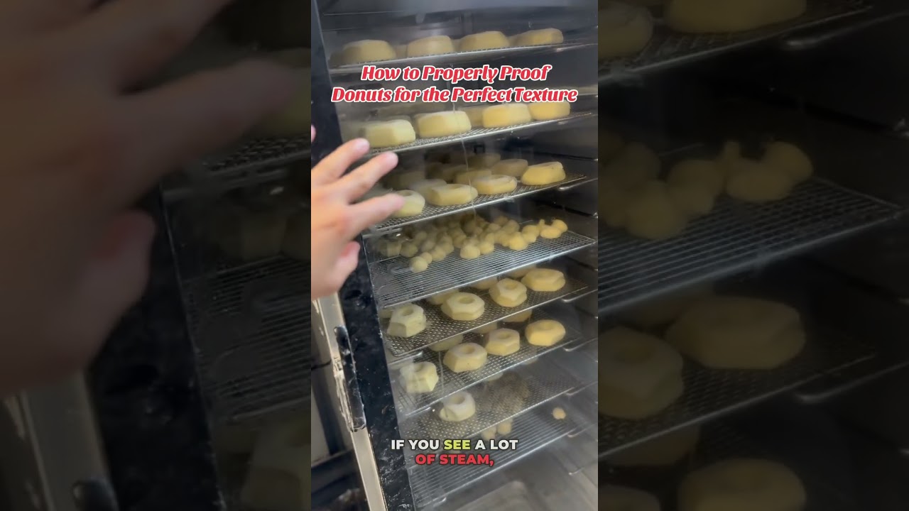 How to Properly Proof Donuts for the Perfect Texture #donutmaking #proofing #humidity #temperature