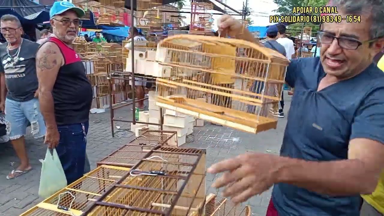 GAIOLAS, PÁSSAROS E ACESSÓRIOS DISPONÍVEIS, FEIRA DO CORDEIRO PE/BRASIL, 19/10/2025.