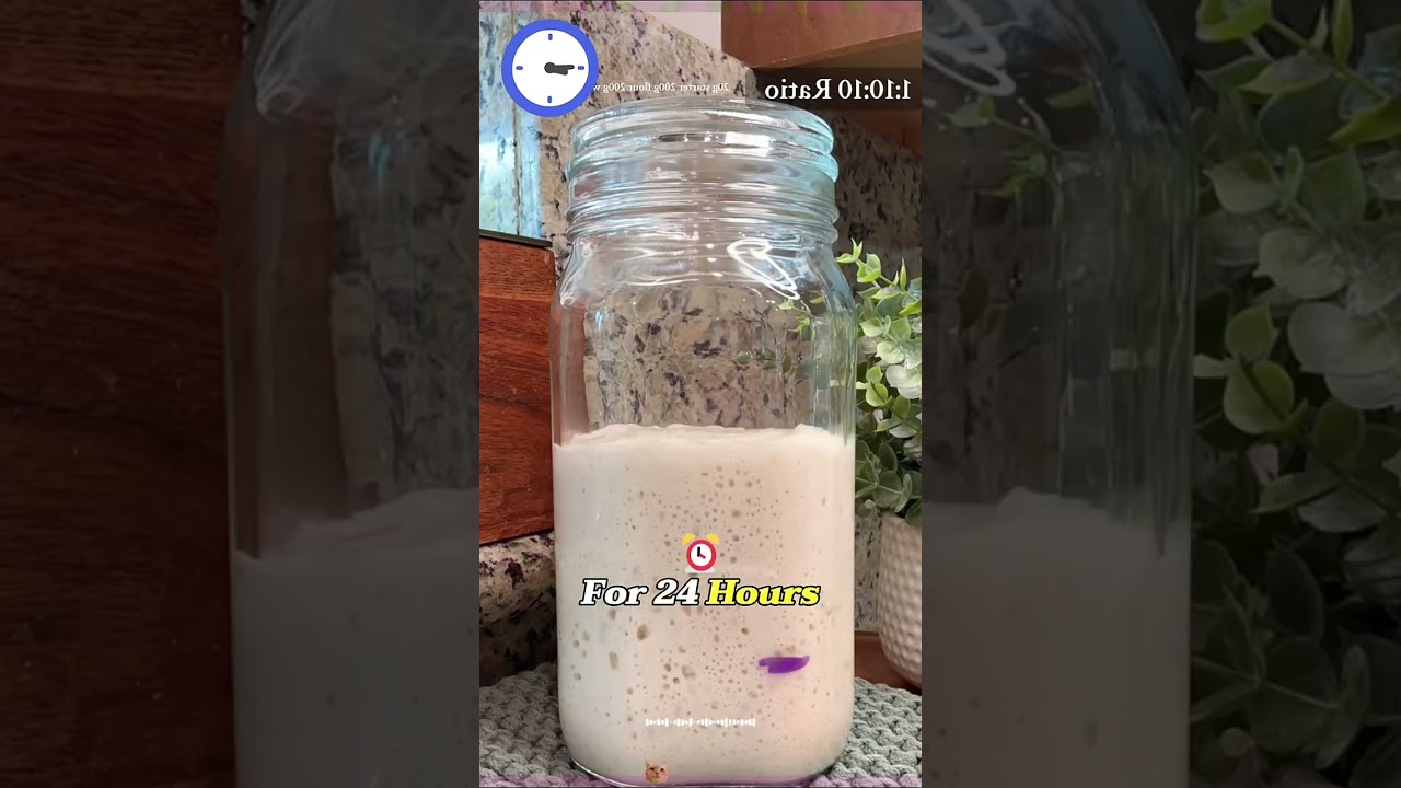 This is a new type of pet that has become popular recently, yeast#tiktok #foryou #asmrsounds #us