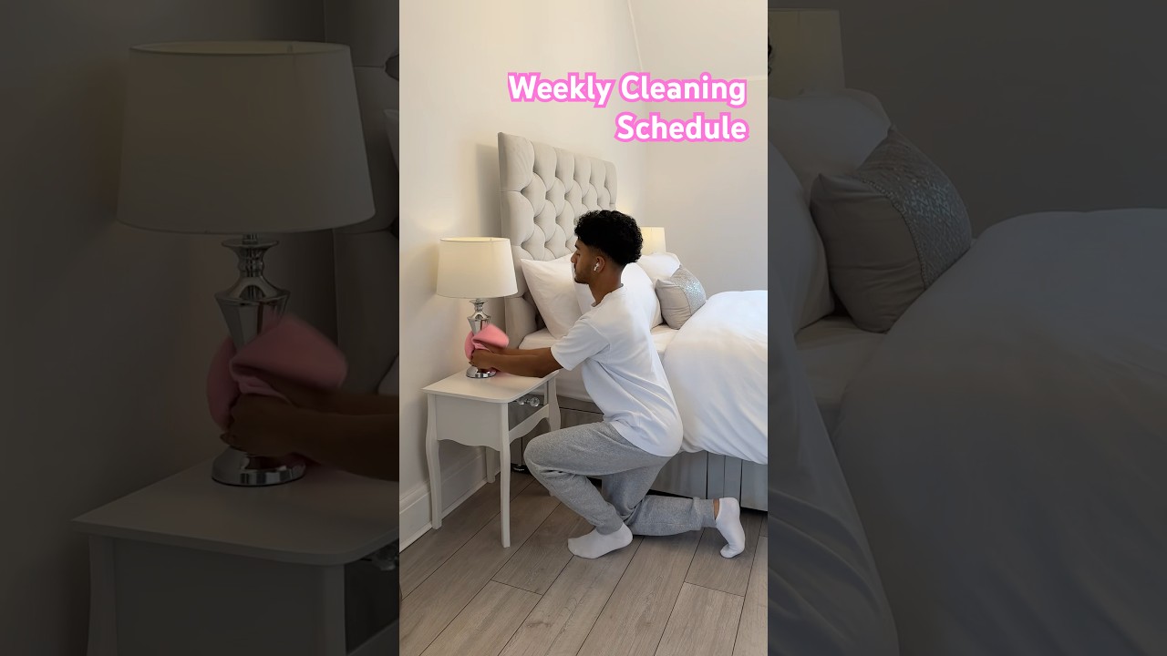 Weekly Cleaning Schedule 🩷 