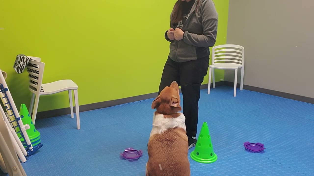 Jack conditioning 