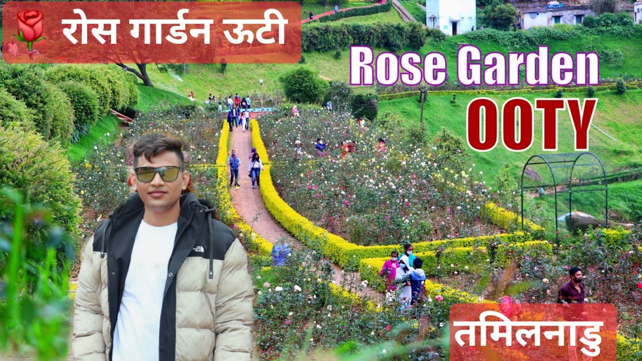 Rose garden ooty का मनमोहक दृश्य। #Ooty #Rose #garden #hill #station #tamilnadu #travel #lover