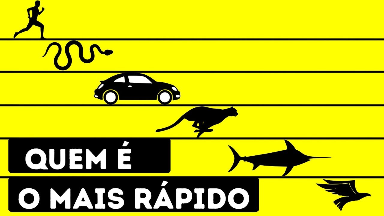 Quem É o Ser Vivo Mais Rápido do Mundo?