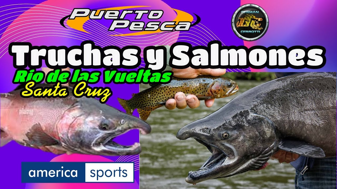 Truchas y Salmones -Río de las Vueltas