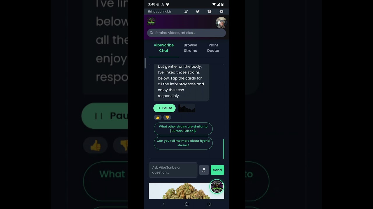 AI Budtender Explains the Difference Between Blue Dream and Durban Poison Meet VibeScribe