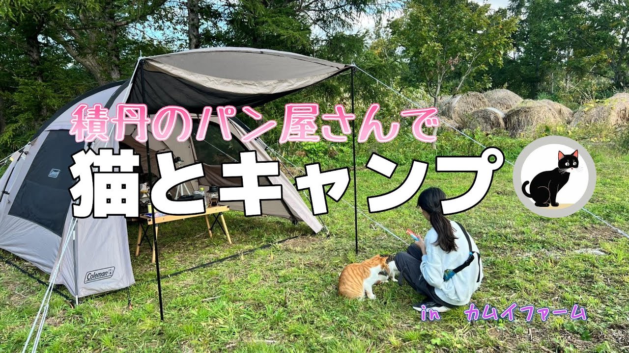 【北海道キャンプ】積丹にあるパン屋さんで猫ちゃんとキャンプ　inカムイファーム