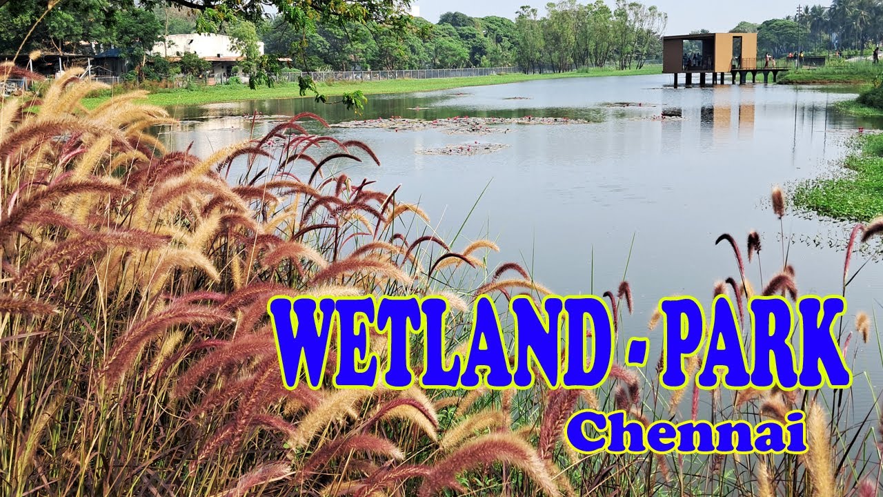 Porur ll Wetland park Chennai ll சென்னையின் ஈரநிலப் பூங்கா.