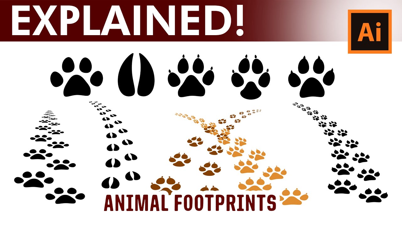 Animal Tracks - How to create your own brushes in Adobe Illustrator