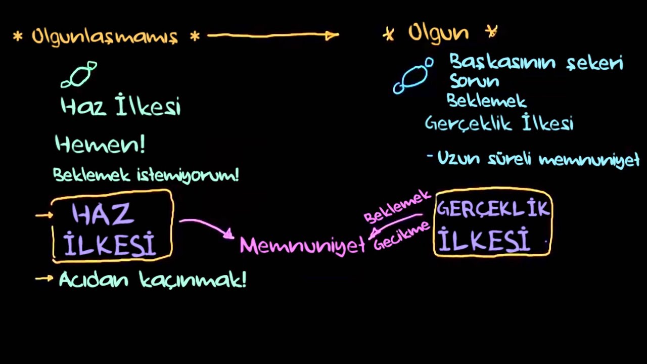 Freud: Ölüm İçgüdüsü, Gerçeklik İlkesi ve Haz İlkesi (Psikoloji / Davranış)