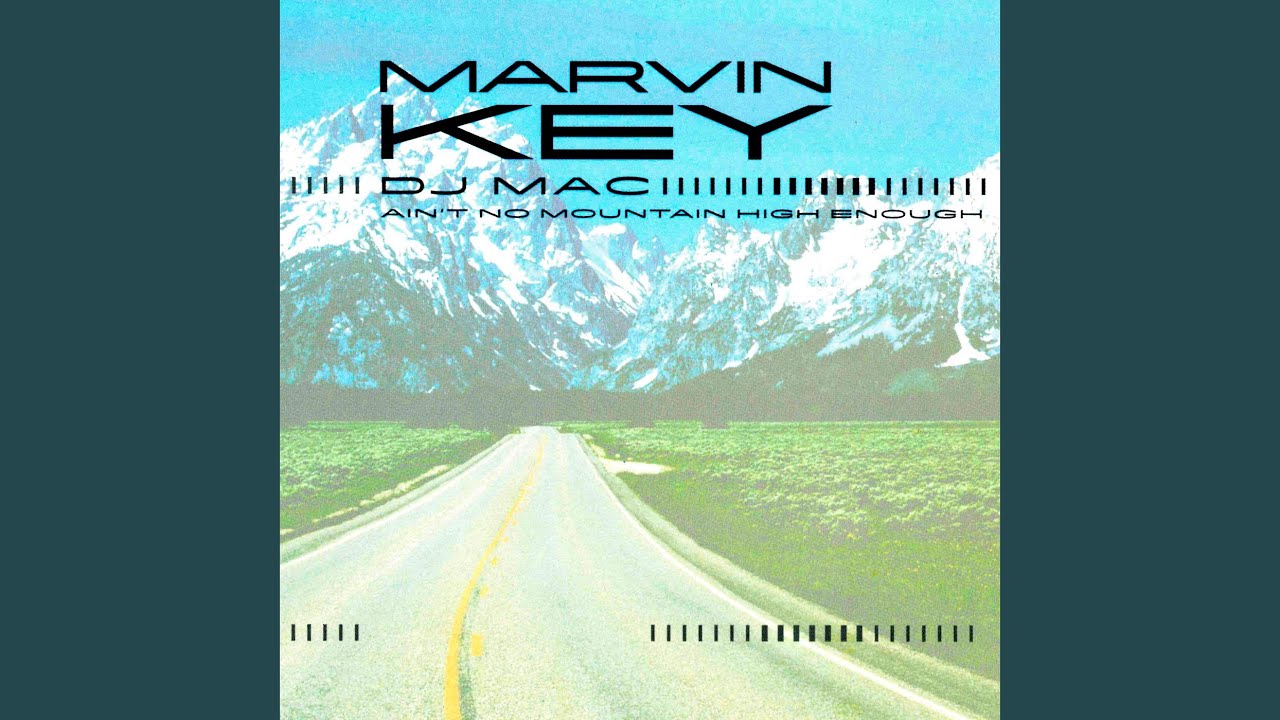 Ain't No Mountain High Enough (House Radio Version)