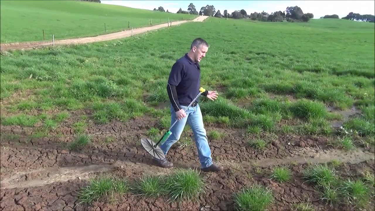 Using a plate meter to measure pasture | TIA Dairy Team