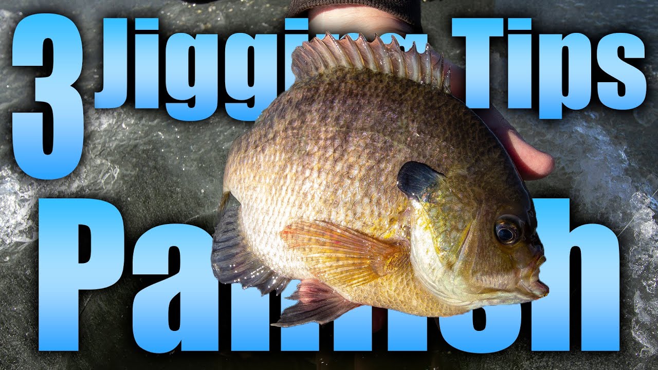 Top 3 Panfish Jigging Tips