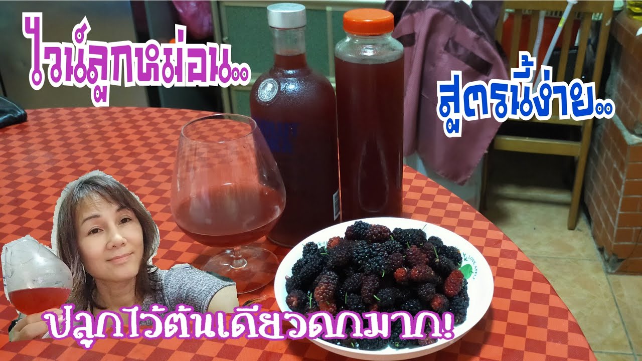 #ไวน์ลูกหม่อน#ไวน์มัลเบอร์รี่,มาดื่มด้วยกันค่ะง่ายๆอร่อยปลูกเองทำเองกินเอง