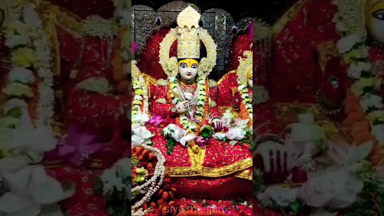 Divine darshan of Shri Kanak Bhawan Bihari ji Ayodhya Dham 13/06/2023 ||#ayodhya #ram #sitaram