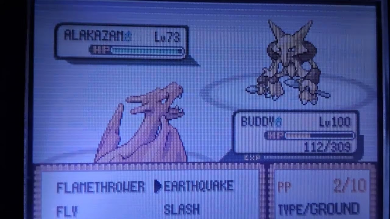 Beating champion ass face with my Lvl 100 Charizard