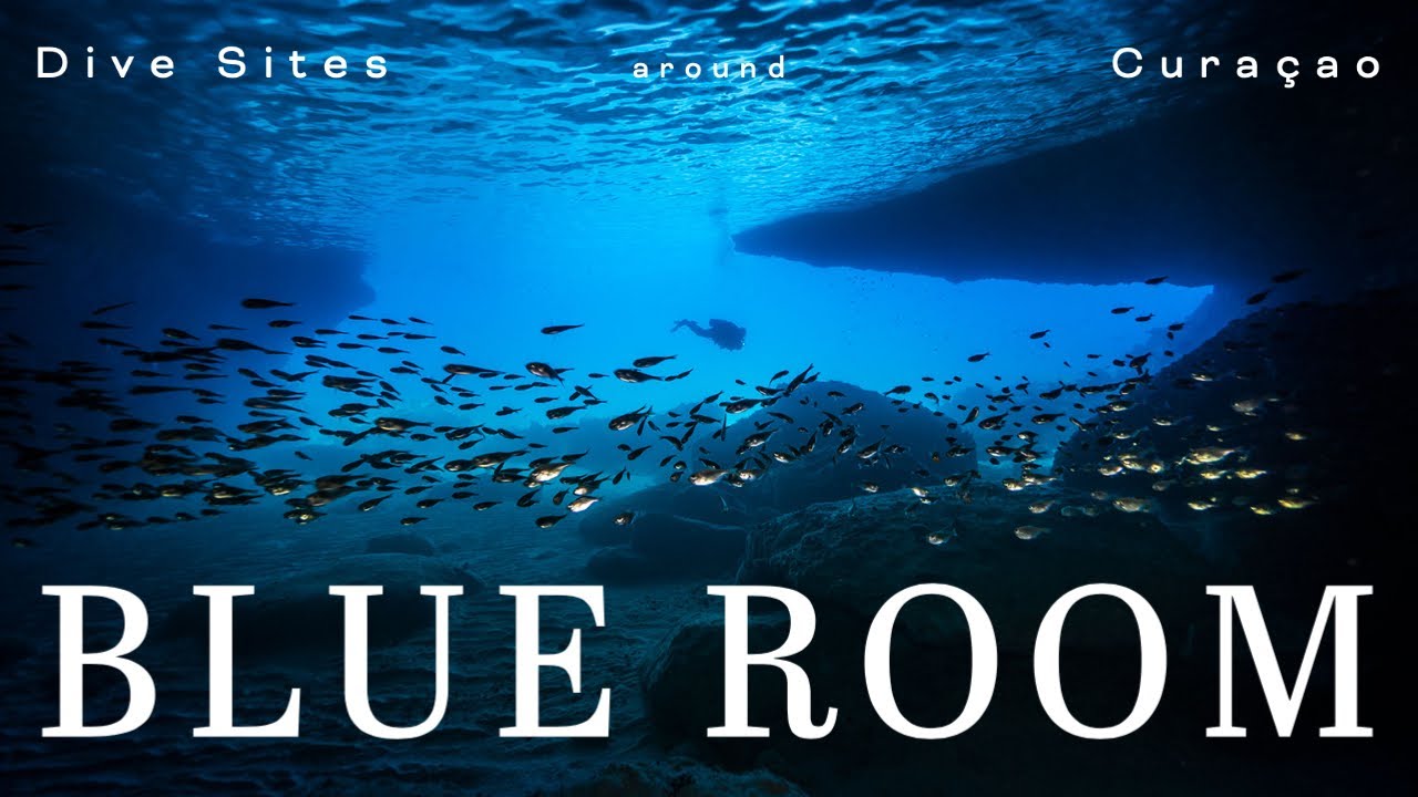 Blue Room Cave | Dive Sites around Cura&ccedil;ao for Snorkeler and Scuba Diver