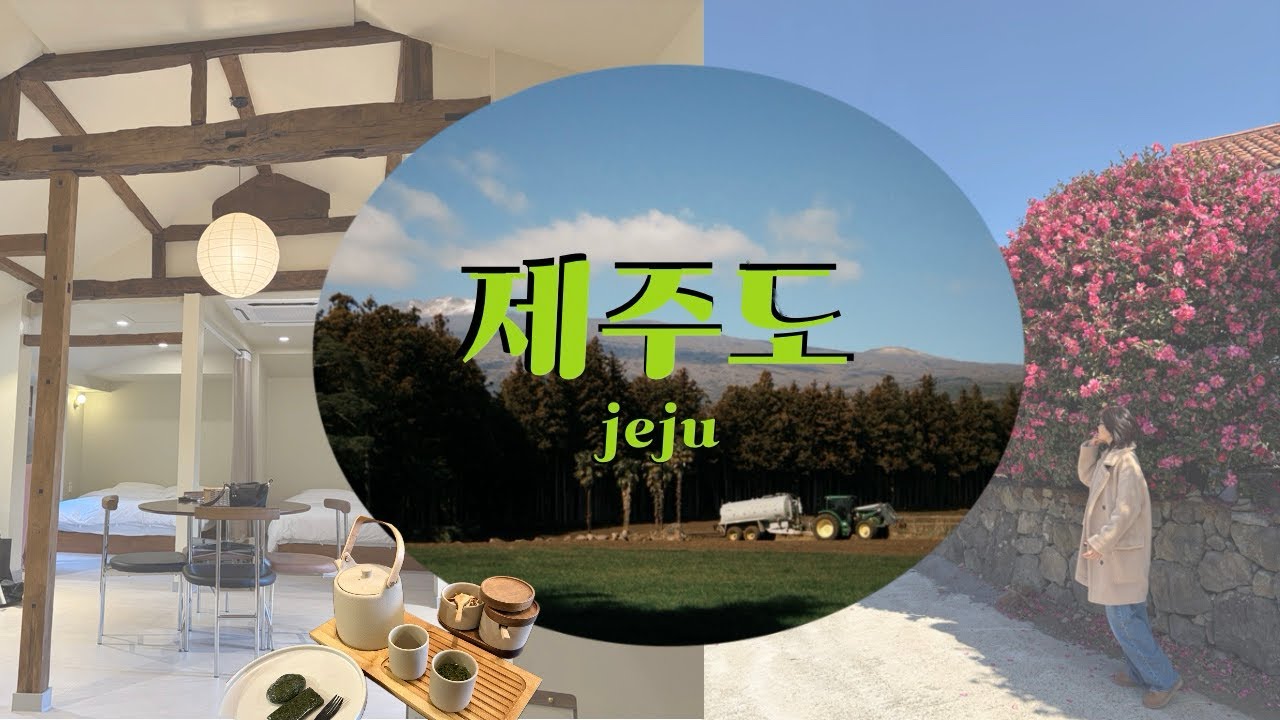 동백꽃 사냥하러 갔다가 유채꽃까지 일타쌍피 🌺_‘엄마랑’ 제주도 1박2일