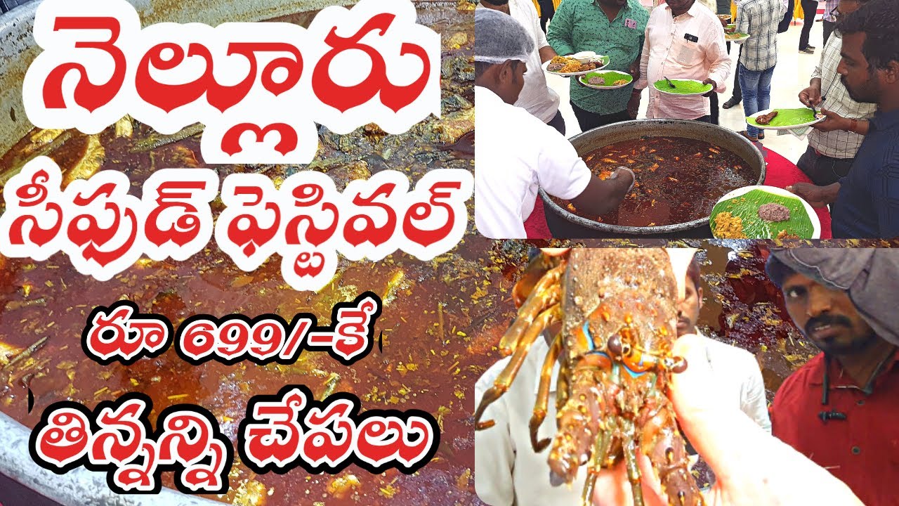 నెల్లూరులో రూ 699/-కే తిన్నన్ని చేపలతో సీఫుడ్ ఫెస్టివల్ | Yekoji Media