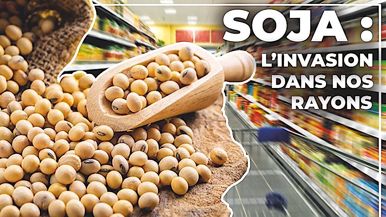 Je mange sain : quand le soja envahit les rayons