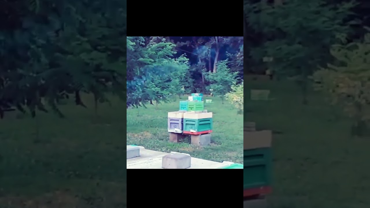 Пасіка Фабро                  #fabro #fabrobeekeeper