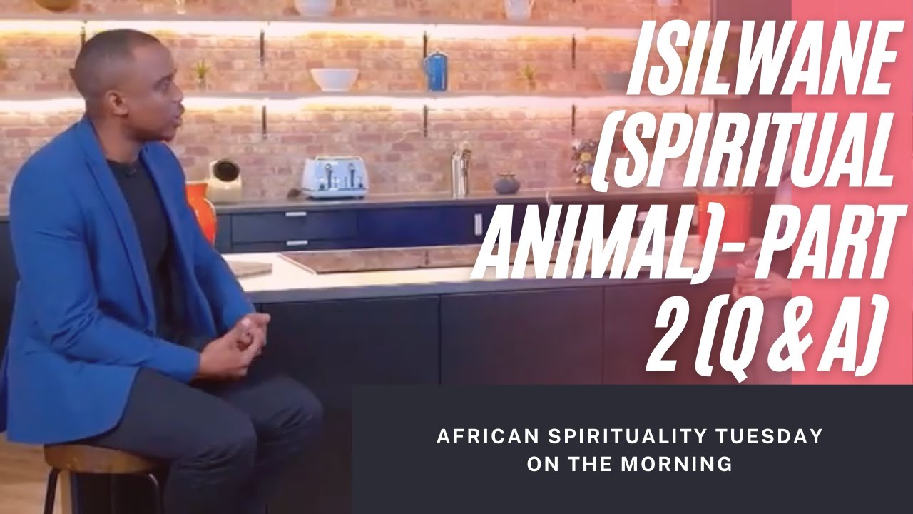 Isilwane in your home and body - Part 2  (Q & A)