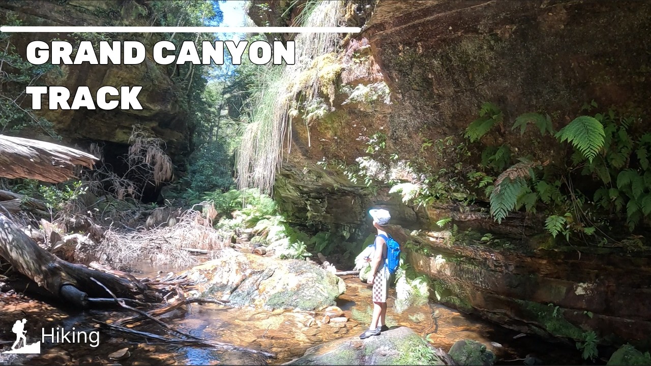 Escaping The Heat In The  Blue Mountains Most Spectacular Canyon - Wild Swimming & Yabbies