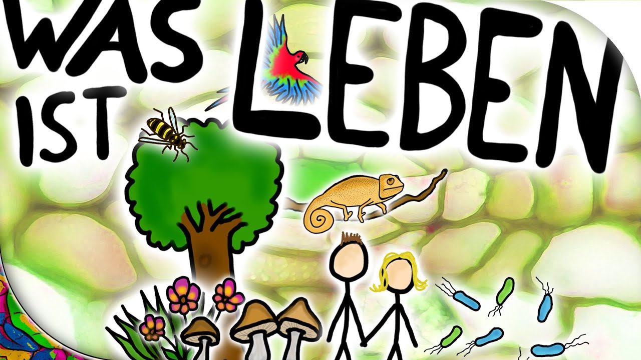Was ist Leben?