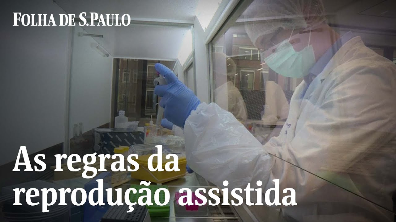 Veja o que pode e o que não pode na reprodução assistida